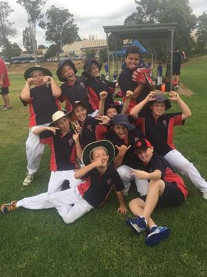 cricket 2