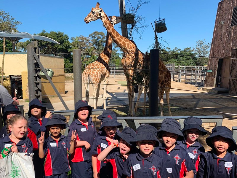 2019KindyZoo