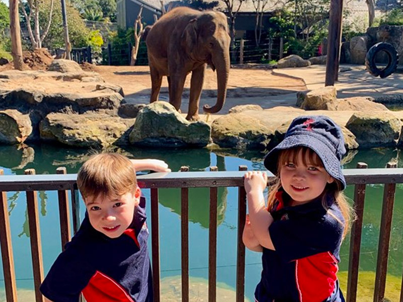2019KindyZoo3