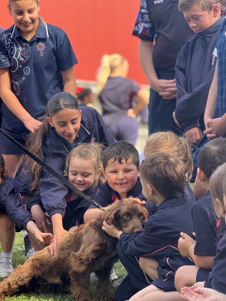 776566154259923_1324116932838173-1