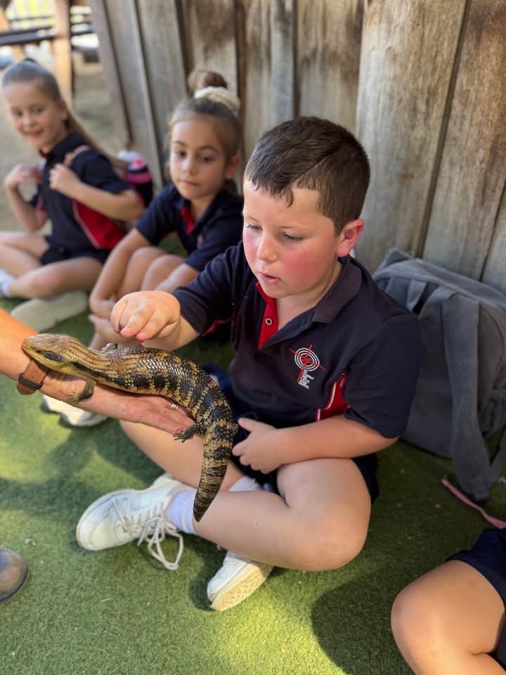 776566154259923_1478359274080604-1