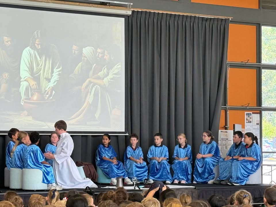 776566154259923_1481688447081020-1