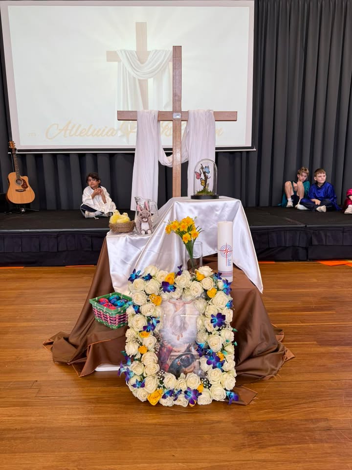 776566154259923_1496373318945866-1